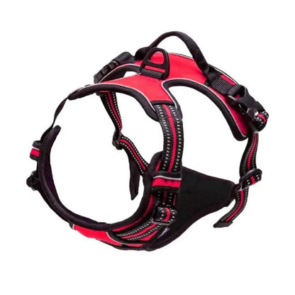 Cooper™ All-Season Dog Harness