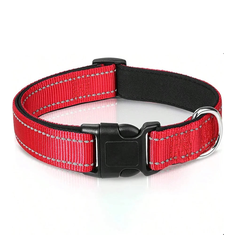 Leo | Reflective padded dog collar with breathable safety design