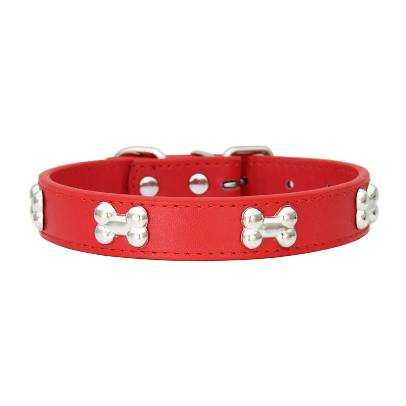 Orvelle | Durable soft-fit dog collar for small dogs & newborn puppies