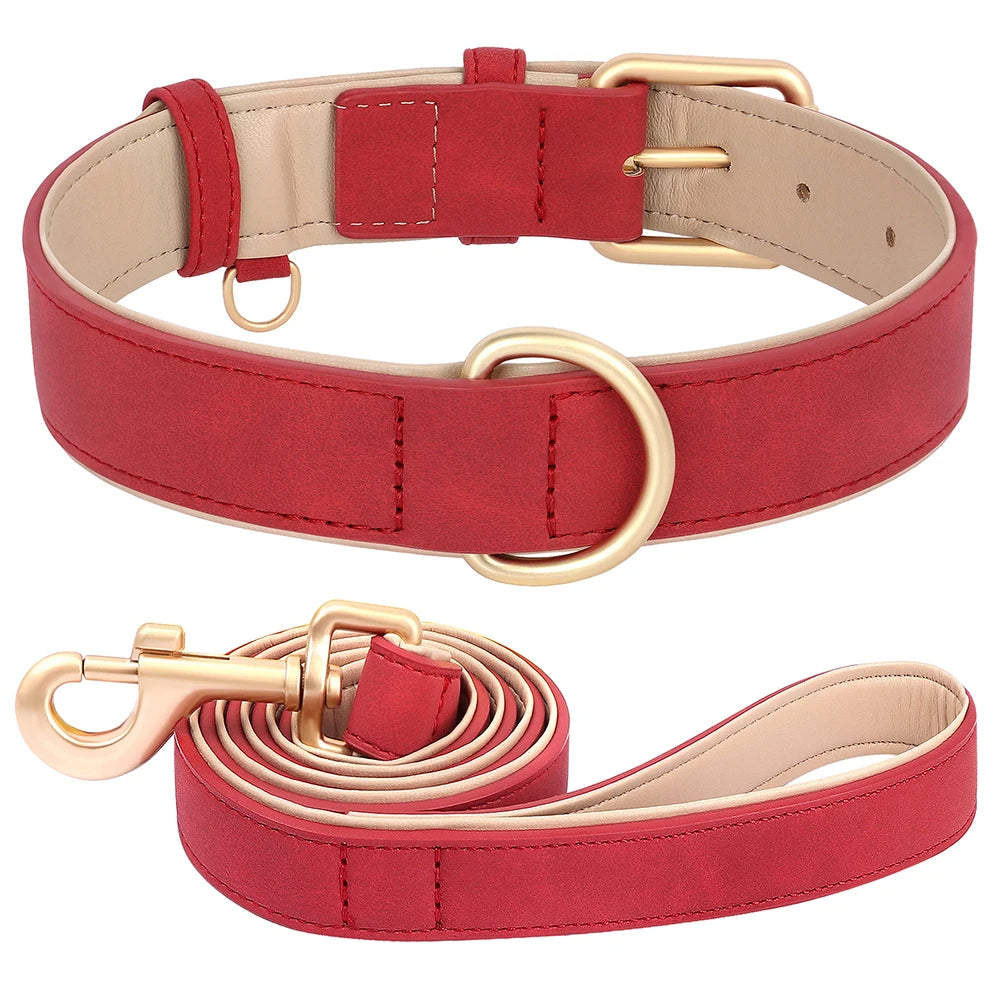 Daisy | Soft padded dog collar and leash set for small & medium dogs