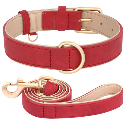 Daisy | Soft padded dog collar and leash set for small & medium dogs