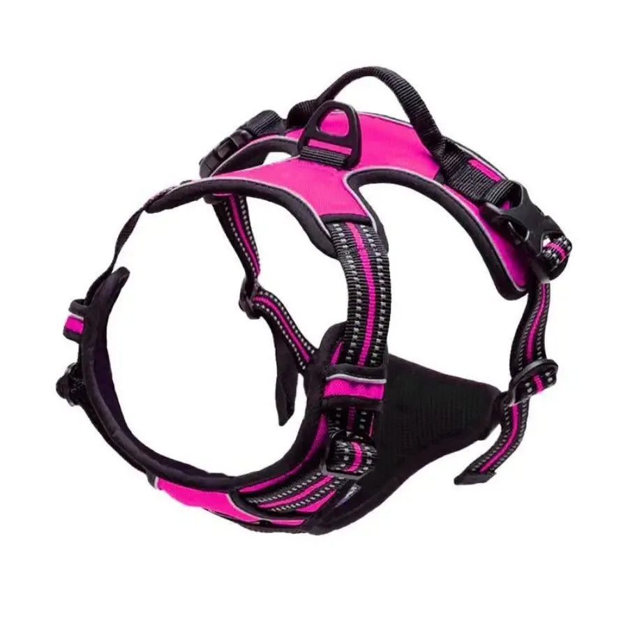 Cooper™ All-Season Dog Harness