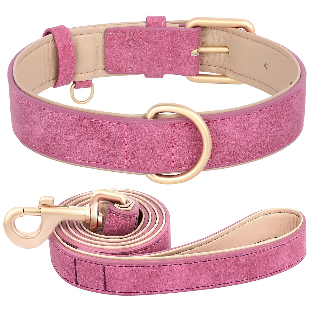 Daisy | Soft padded dog collar and leash set for small & medium dogs