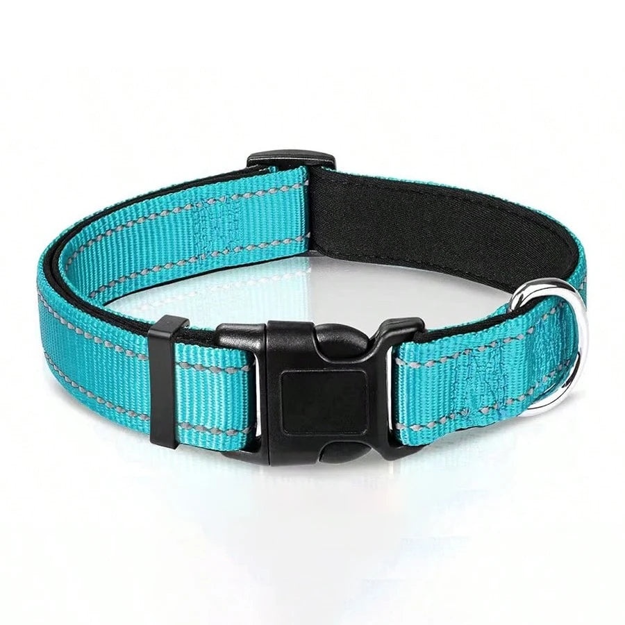 Leo | Reflective padded dog collar with breathable safety design