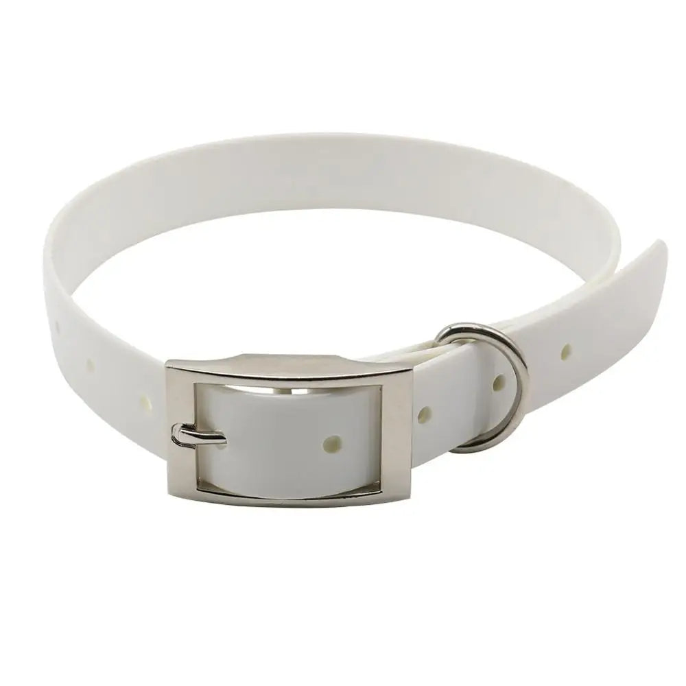 Max | Waterproof and dirt-resistant dog collar with breakaway buckle