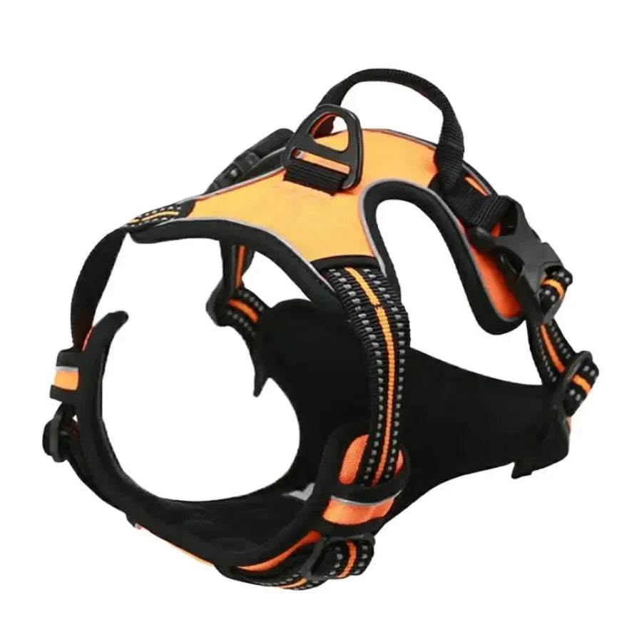 Cooper™ All-Season Dog Harness
