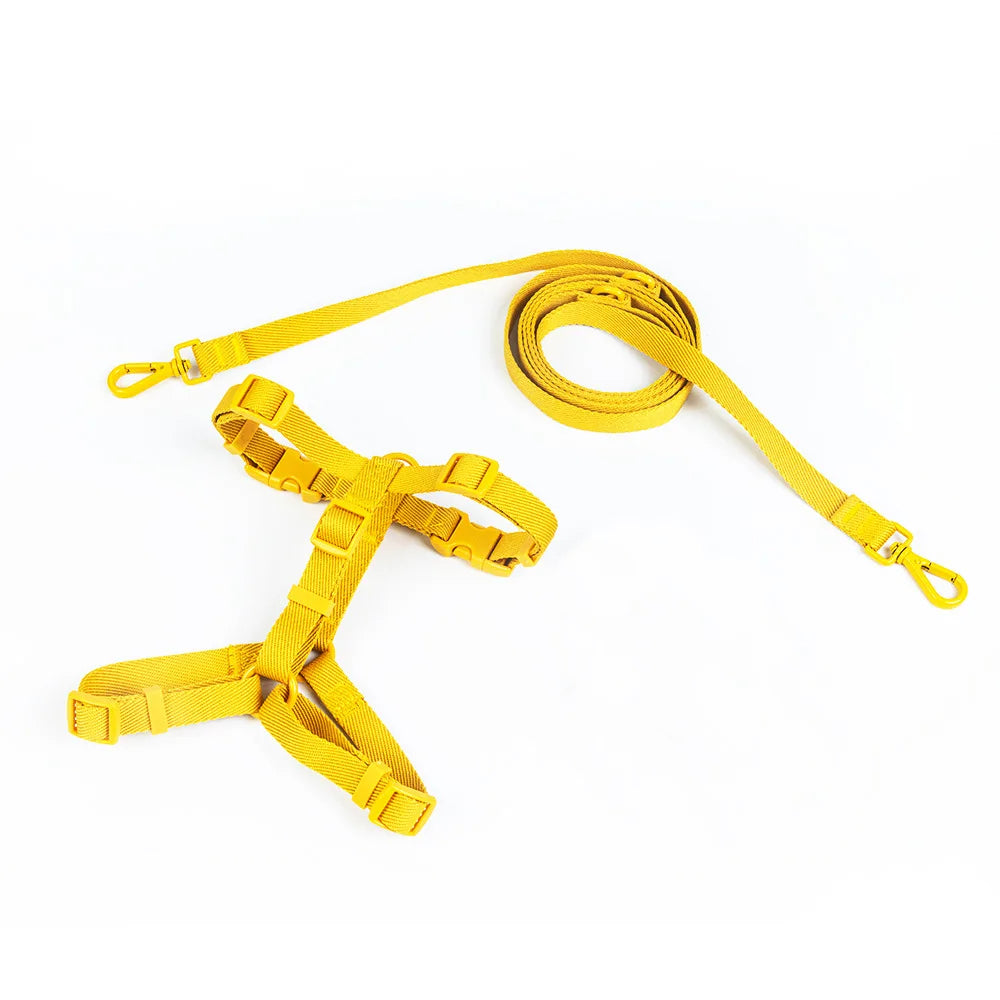 Cleo™ Macaron Dog Harness Set Dual-head leash