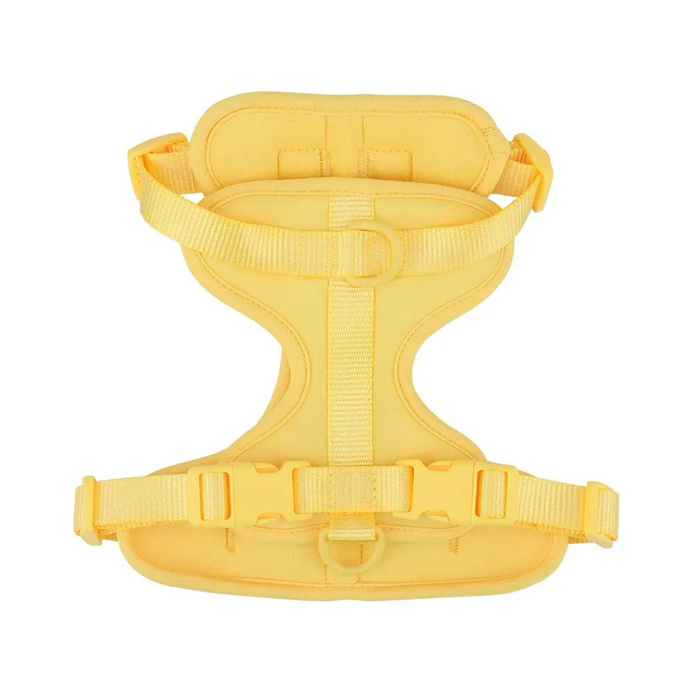 Bailey Lightweight Dog Harness Breathable adjustable vest strap
