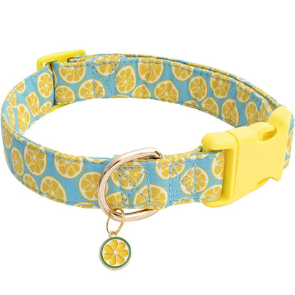 Mire | Adjustable fruit-themed collar with metal charm for pets